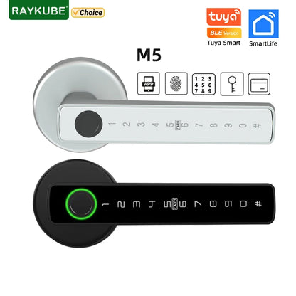 RayKube Smart Lock: Secure Entry